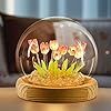Round Tulip Light